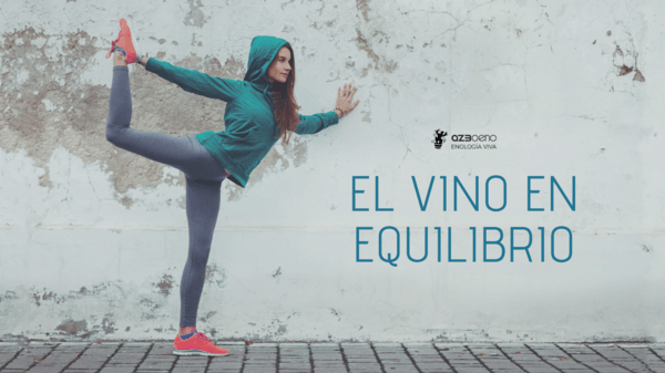 EL VINO EN EQUILIBRIO