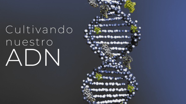 Cultivando nuestro ADN