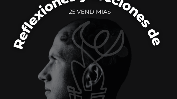 Reflexiones y lecciones de 25 vendimias 