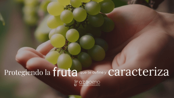 Protegiendo la fruta que te define y caracteriza